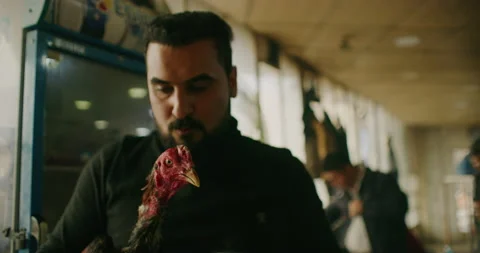 A Man Relaxing With His Rooster And Drinking Tea in Erbil, Iraqi Kurdistan Stock Footage 149732113