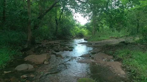 A man relaxing in a inflatable bed on a small forest creek and reading a book  Stock Footage 157436648