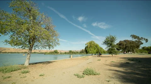 Man relaxing at Park 2 Stock Footage 41457543
