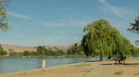Man relaxing at Park Stock Footage 41457372