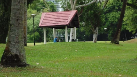 Man relaxing at the park Stock-Footage 258782040