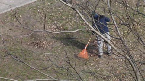 A man removes leaves from his plot with a rake in spring Vídeos de archivo 266502504