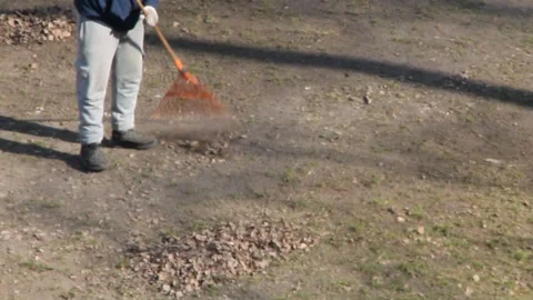 A man removes leaves from his plot with a rake in spring Видео 266502940