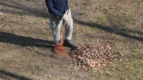 A man removes leaves from his plot with a rake in spring Stock Footage 266503278