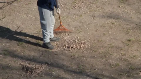 A man removes leaves from his plot with a rake in spring Stock Footage 266503281