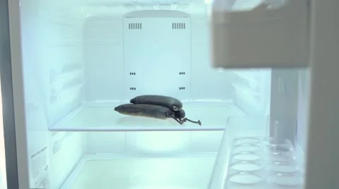 A man removes the stud from the refrigerator spoiled bananas, close-up Stock Footage