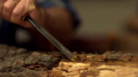 Man removing bark from the log with a chisel in slow motion Stock Footage 81231278