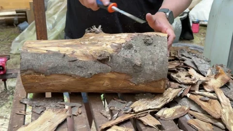 Man Removing Bark From Log With Chisel for DIY Woodworking Project Stock Footage 342002002