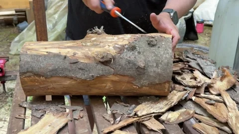 Man Removing Bark from Log with Hand Tool Outdoors Video stock 342646951