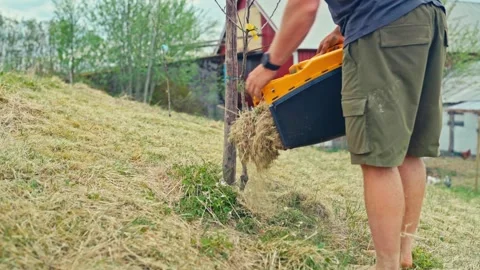 Man Removing Cut Straw - Lawn Mower - Yard Maintenance Stock Footage 343901359
