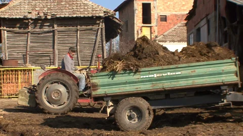 Man removing manure with a tractor Stock-Footage 35703723