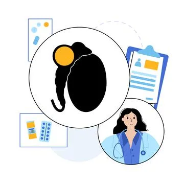 Man Reproducive System Problems Stock Illustration