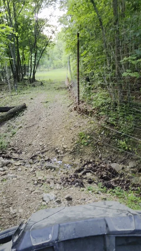 Man Rescues Stuck Doe When Checking Fences, Willow Springs, Missouri, USA - 22 J Stock Footage 338412890