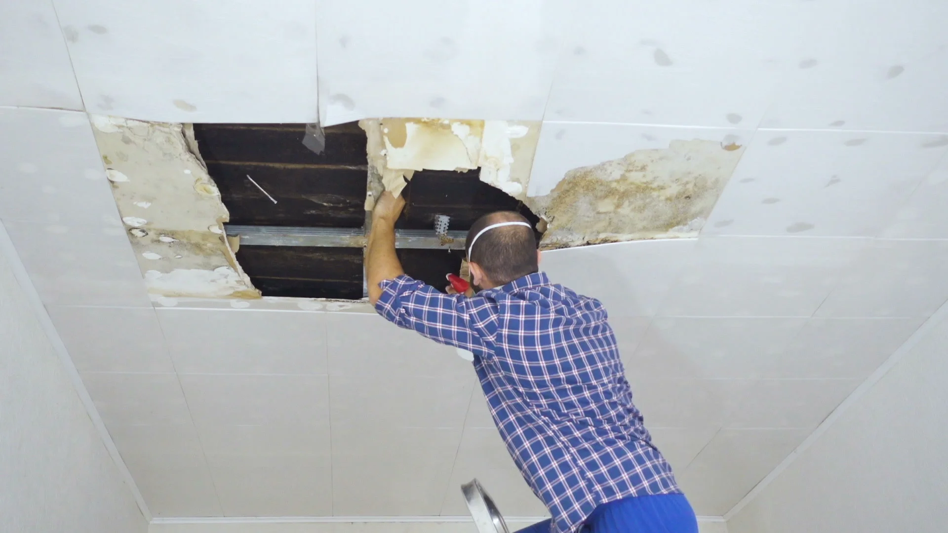 Man In Respirator Cleaning Mold On Ceiling Ceiling Panels Damaged