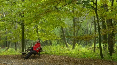 Man is Resting on Bench Crossed His Legs Looking at the Trees in Forest Park Stock Footage 68686363