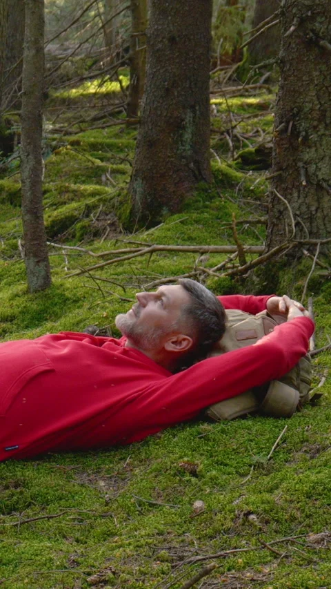 Man resting on forest ground with backpack during hike Stock-Footage 335129687
