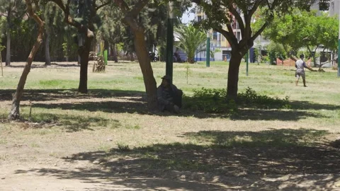 A man resting under the shade of a tree in a park on a sunny day in 4K Видео 150311407