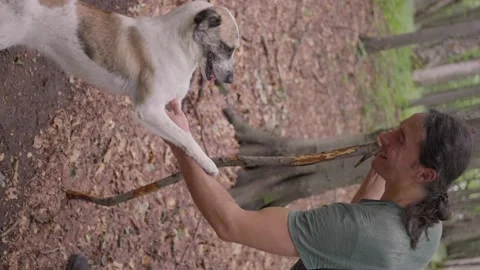 A man rests in the forest, a stray dog is glad to see him Stock Footage 209874322