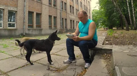 A man rests in the old park after the race. Feeding stray dogs Video stock 53307667