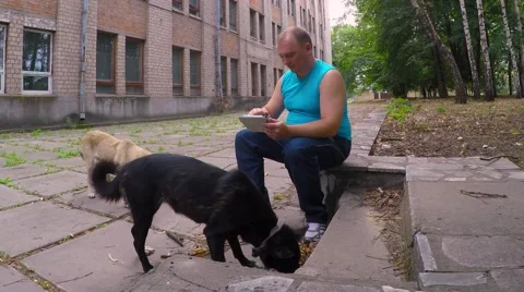 A man rests in the old park after the race. Feeding stray dogs 库存影片 53307756