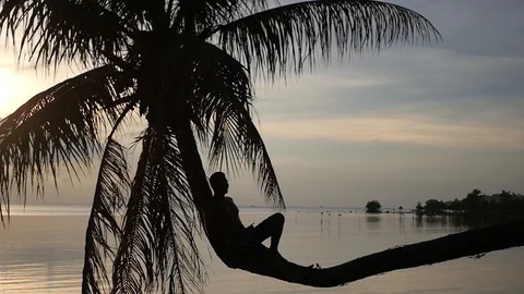 A man rests sitting on a palm tree, above the water against the backdrop of the Stock Footage 95940312