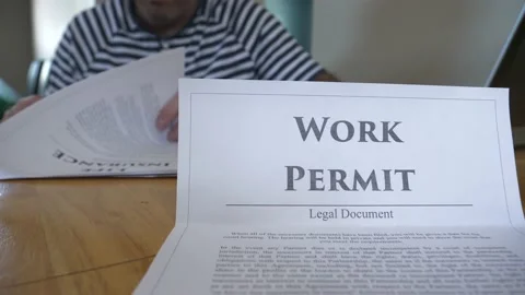 Man Reviewing his Work Permit Documents Video stock 133196066