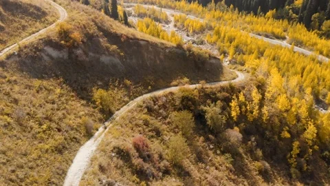 Man ride bicycle on the mountain road shot by drone Видео 139957005