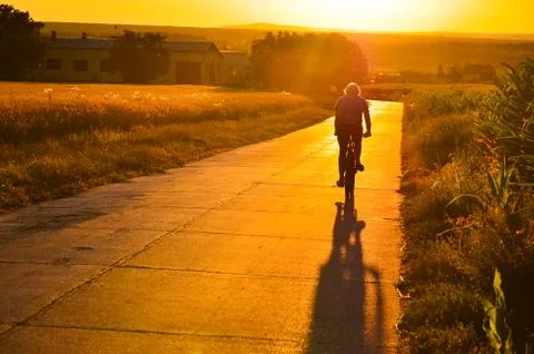 Man ride on bicycle in summer sunset light through agricultural field Stock Photos
