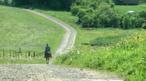 Man ride at a horse Stock Footage 11154782