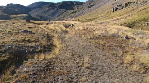Man rides around the field in high mountains. Video stock 83735598