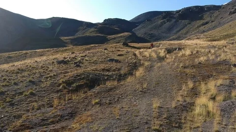 Man rides around the field in high mountains. Video stock 83735870