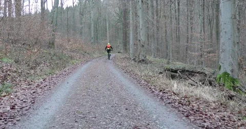 A man rides a bicycle along a forest road Vídeos de archivo 169077997