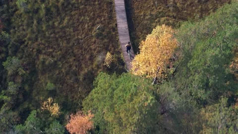 Man rides a bicycle Stockbeeldmateriaal 161795907