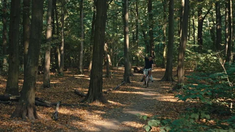 Man rides a bicycle in the forest Stock Footage 255978029