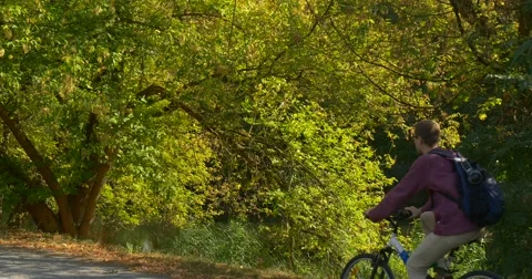 Man Rides On The Bicycle He Stops Under the Spreading Tree And Gets off The Stock Footage 56064268