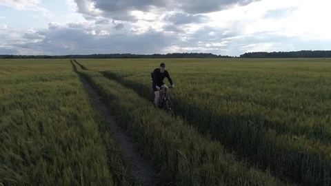 A man rides a bicycle on the road through a green field. Vídeos de archivo 116390812
