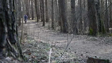 A man rides a Bicycle on a sloping forest road in the spring. Healthy lifestyle. Stock Footage 127466606