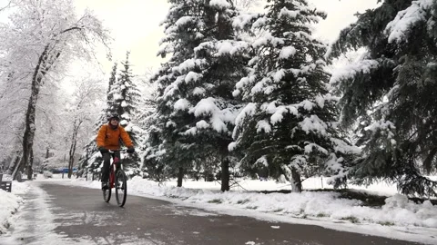 A man rides a bicycle through a winter city among snow covered trees Stockbeeldmateriaal 260460639
