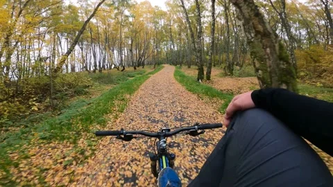 A man rides a bicycle without hands in an autumn park Stock Footage 163421268