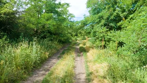 A man rides a bike through the woods Stock-Footage 199191353