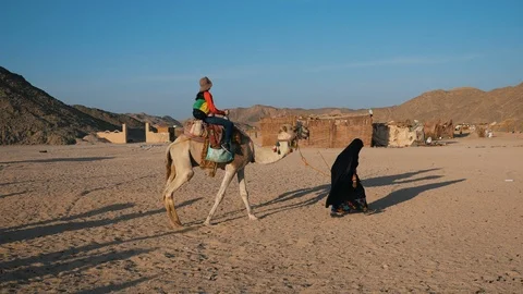 A man rides a camel in the desert Stock Footage 89686879