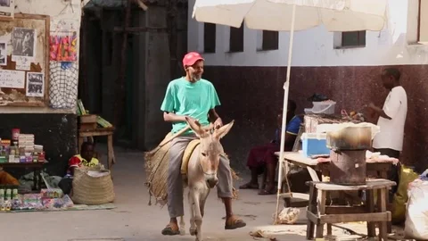Man rides donkey Stock Footage 70931066