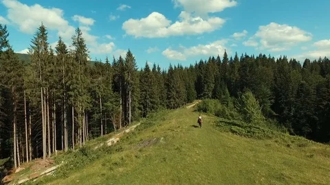 Man rides horse. National clothes Stock Footage