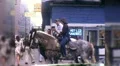 Man Rides on Horse Street Midtown Cowboy Ride NYC 1970s Vintage Film Home Movie HD Footage