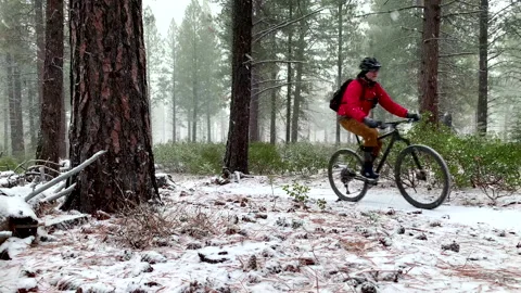 Man rides mountain bike on trail in snowing forest Stock Footage 173597331