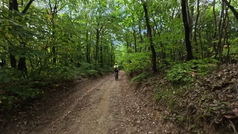 A man rides an MTB along a dirt trail through dense green forest, seen from Stock Footage 344814426