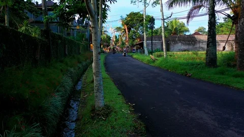 A man rides a scooter down an empty street in Bali Indonesia. Video stock 102562217