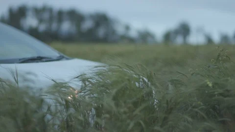 Man rides on a wheat field 스톡 동영상 118680583