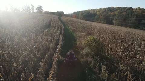 Man riding 4 wheeler through a farm corn field in Central Pennsylvania USA 스톡 동영상 243849226