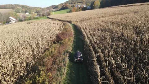 Man riding 4 wheeler through a sunny corn field in Central Pennsylvania USA Vídeos de archivo 243849237